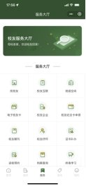 进入微信小程序服务大厅页面