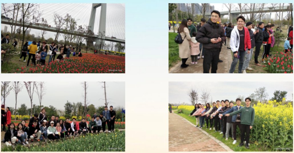 以突出业绩斩获多项荣誉