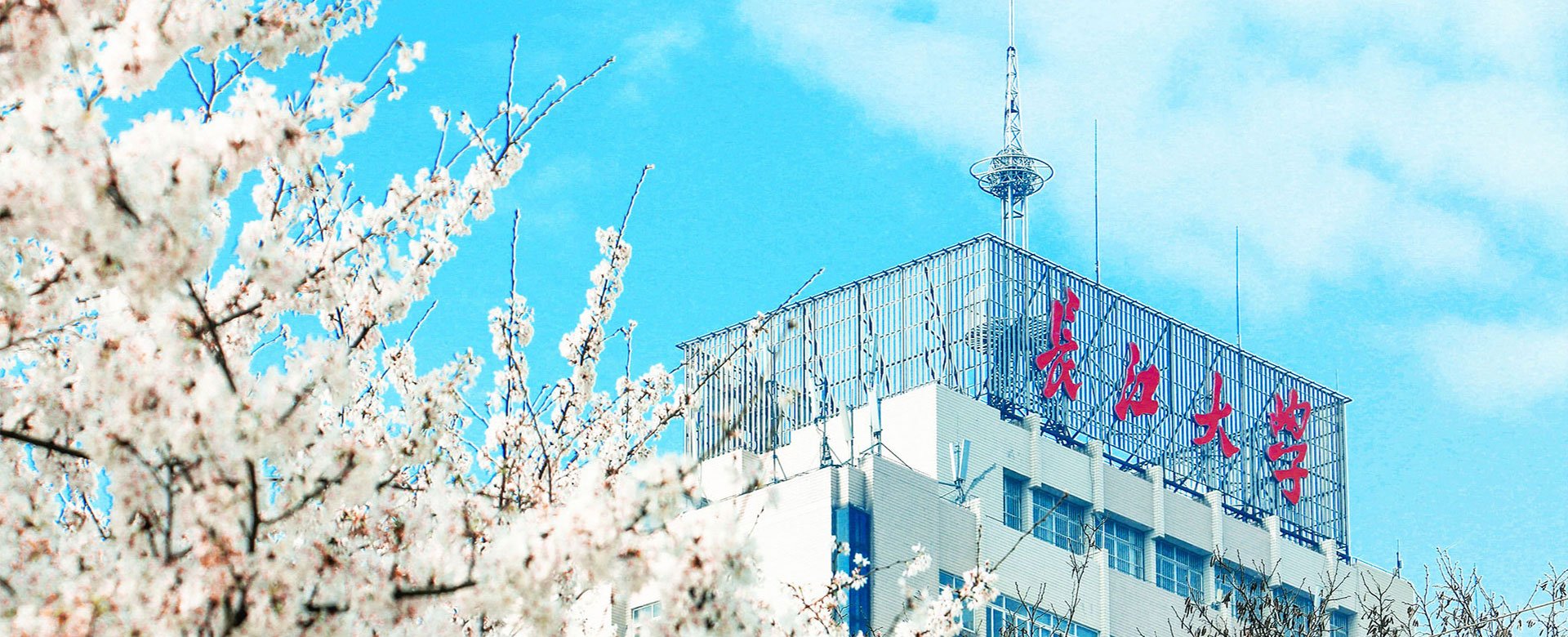 在录取现场